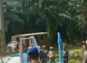 Satpol-PP Tertibkan Bangunan Liar Di Bukit Lawang